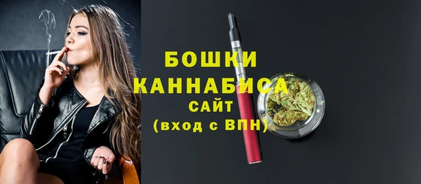 прущий лед Абаза