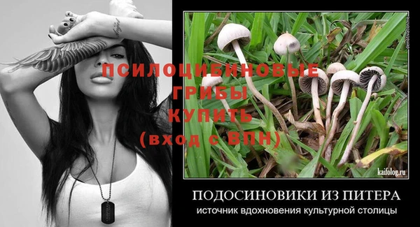 СК Алзамай