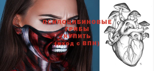 СК Алзамай